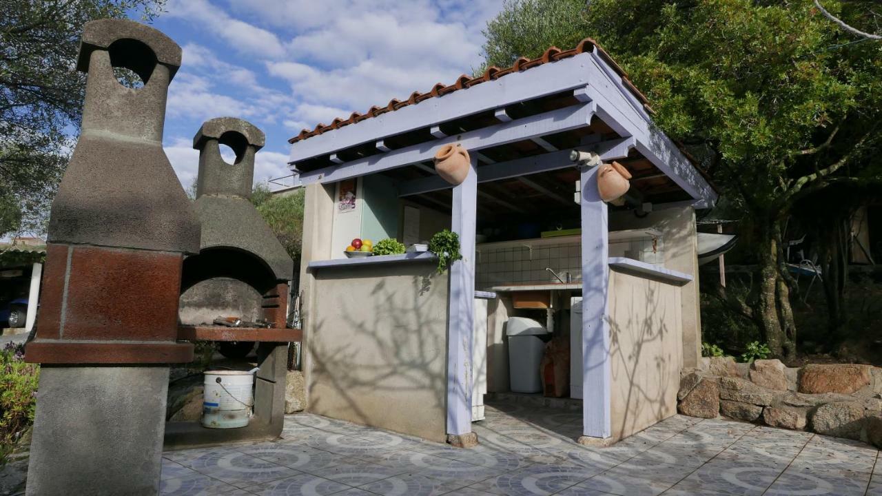 Les Figuiers Leilighet Porto Pollo Eksteriør bilde