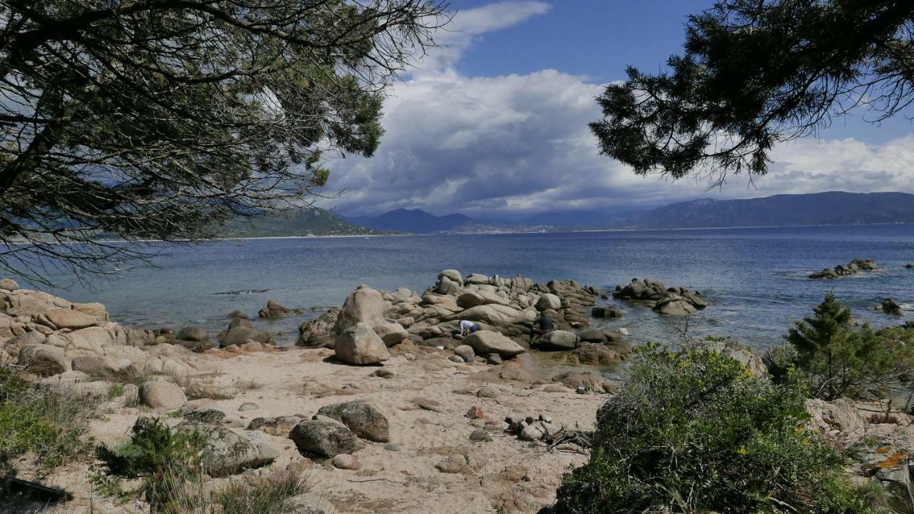 Les Figuiers Leilighet Porto Pollo Eksteriør bilde